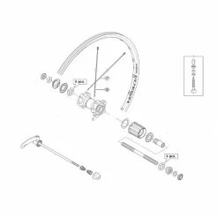 Rayon Shimano Ultegra WH6700 - Arrière (x1)